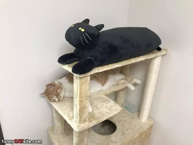 My Place To Nap