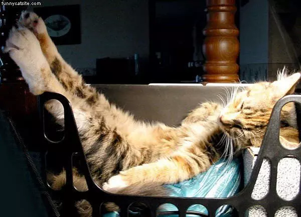 Super Relaxed