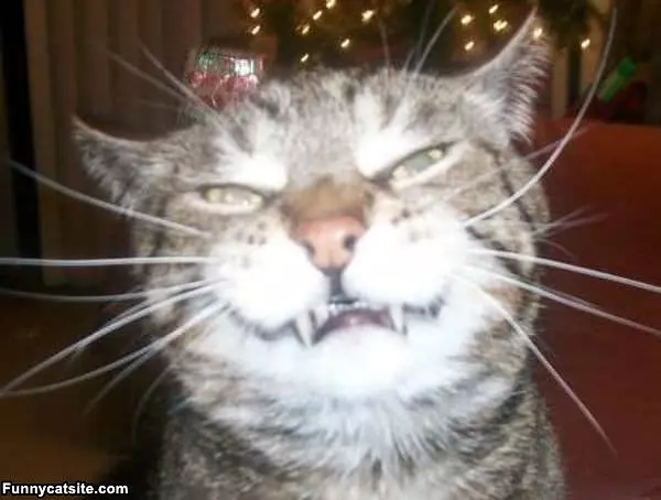 This Is How I Smile