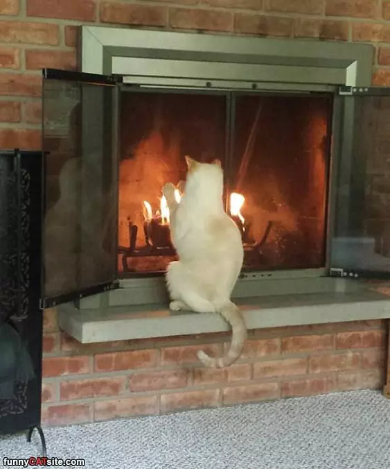 This Is How I Stay Warm