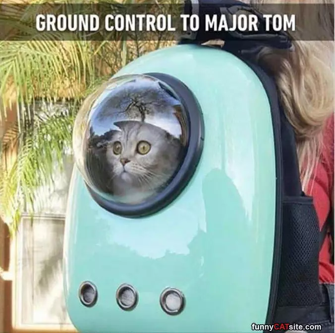 Ground Control