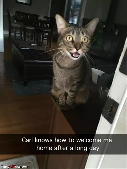 Welcome Home Friend