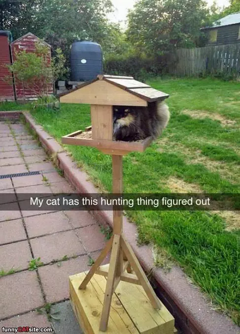 Hunter