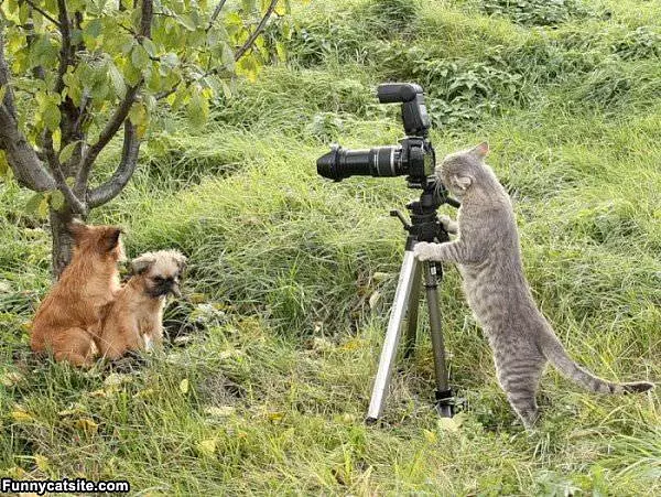 Photo Time