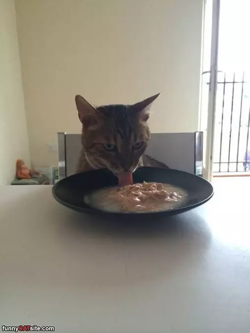 Nommmms