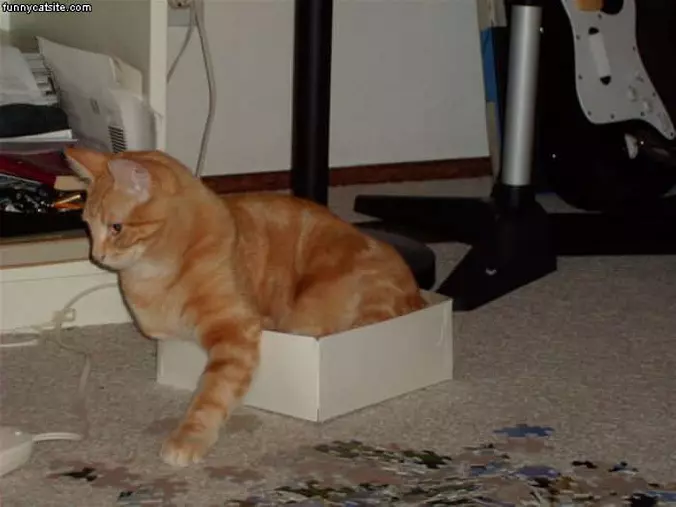 Need A Bigger Box