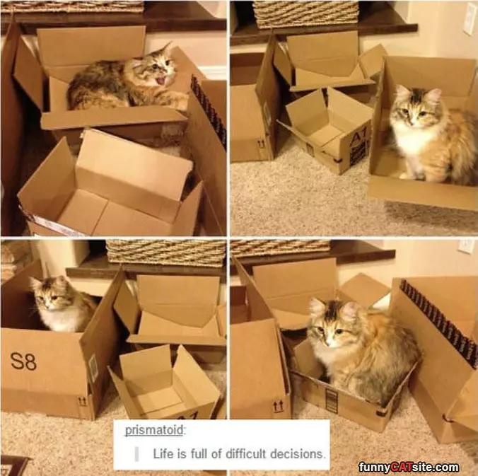 Difficult Decisions