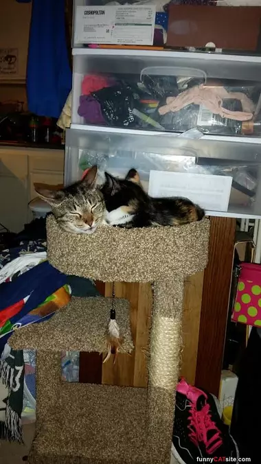Asleep In My Castle