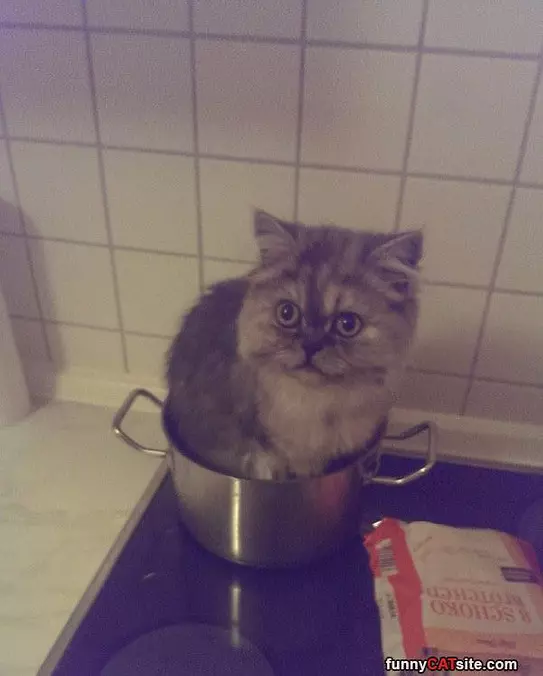 Can I Sleep In Here