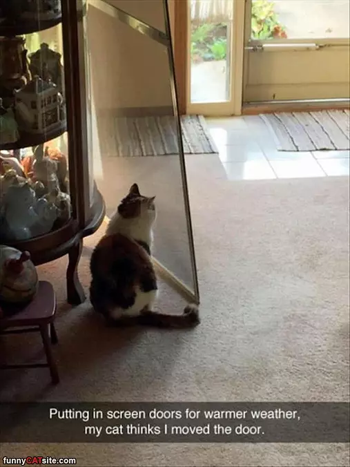 Stuck Behind The Door
