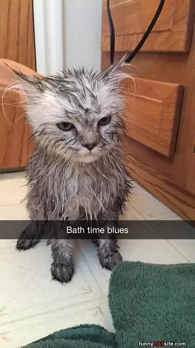 Bath Time Blues