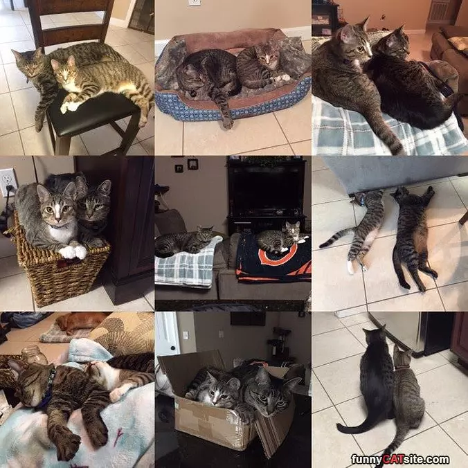Always Together