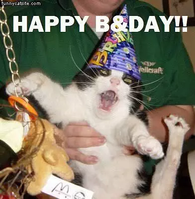 Happy Bday