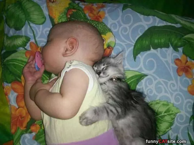 Cuddling Up