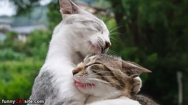 Big Hugs