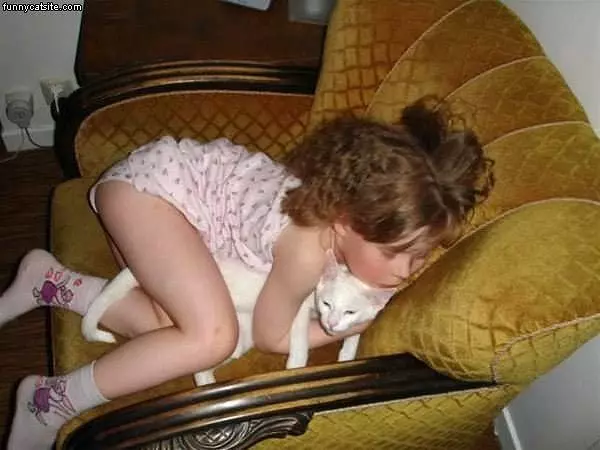 Poor Cat