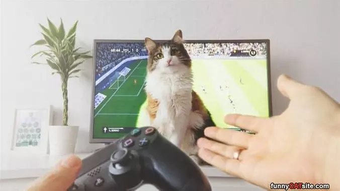 No Video Games For You