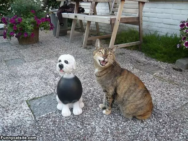 This Is Funny