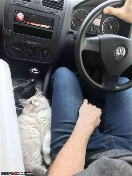Getting All Cute