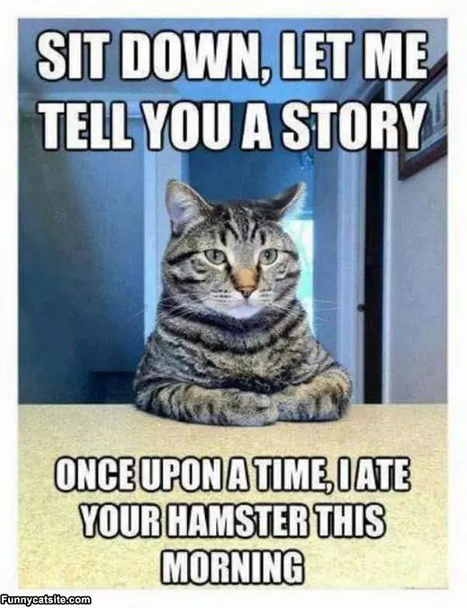 Sit Down