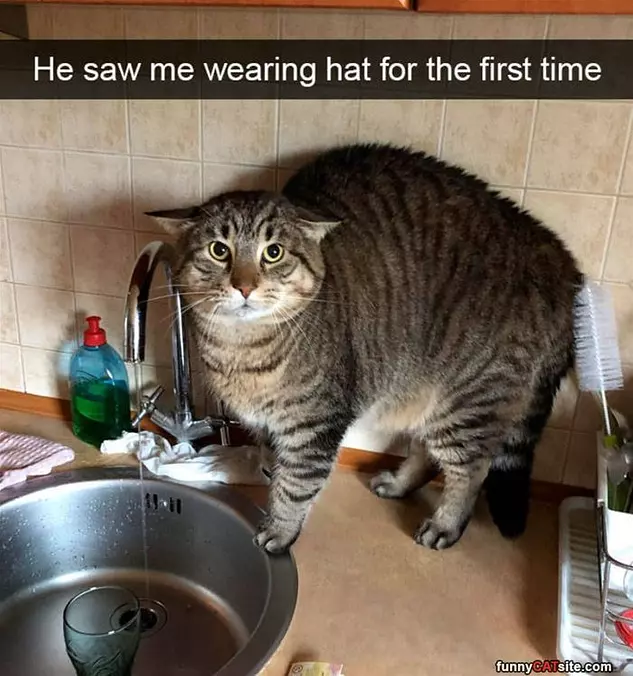 First Time