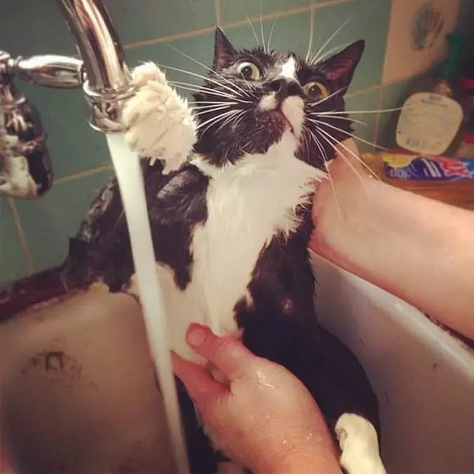 Getting A Bath