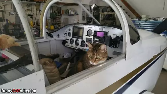 Lets Go Flying