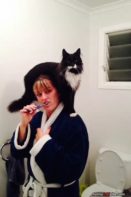 Let Me Help With Brushing