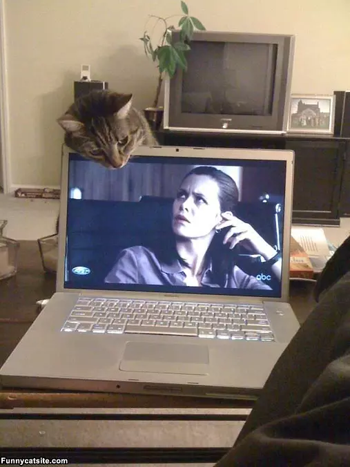 I See You There