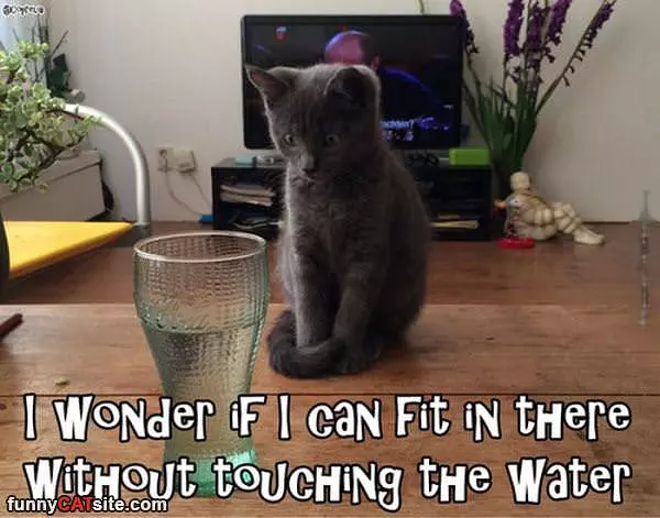 I Wonder