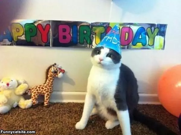 Birthday