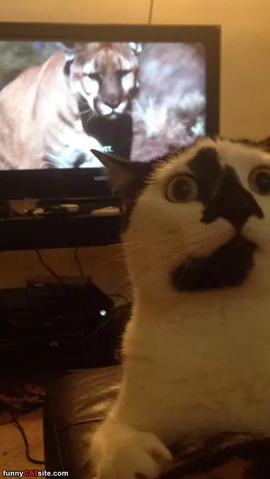 Behind Me Isnt He