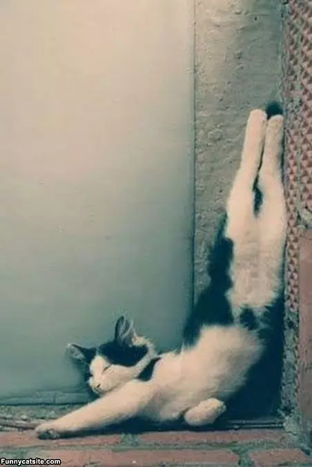 Sleeping Like This