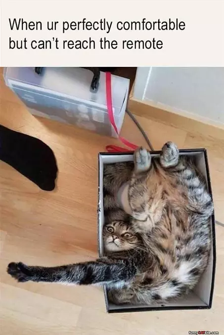 Reaching The Remote