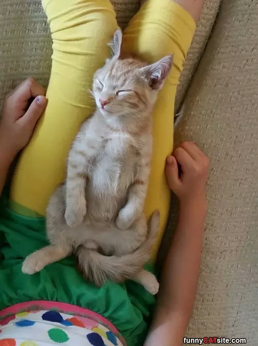 I Sleep Here