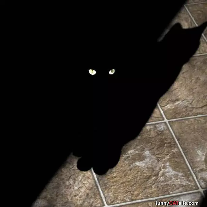 All I Can See Is Eyes