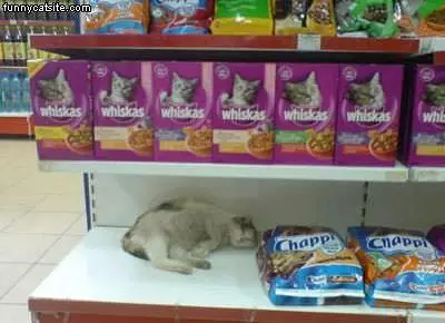 Nap Spot