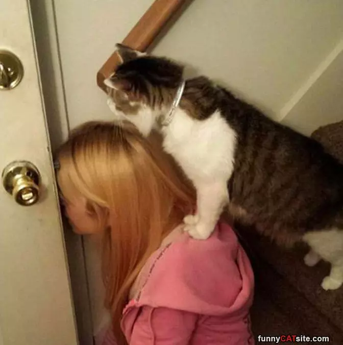 Checking It Out