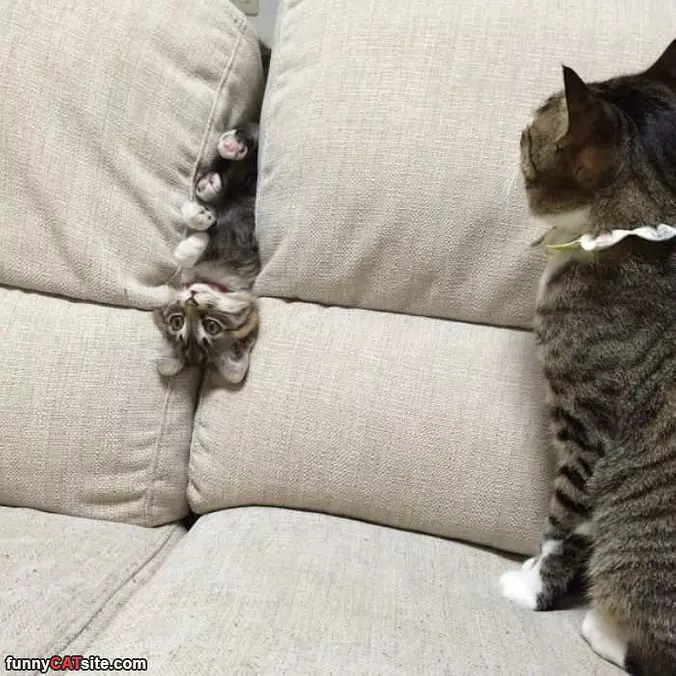 Will Just Sleep Here