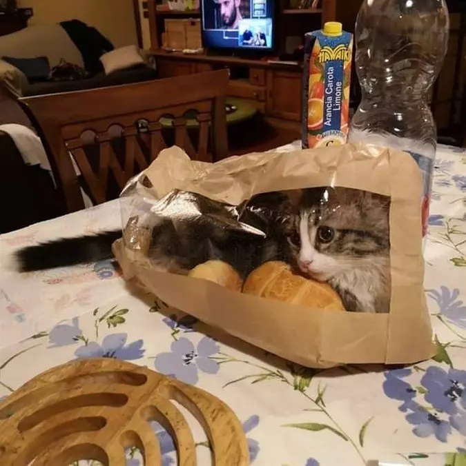 Bread Bag