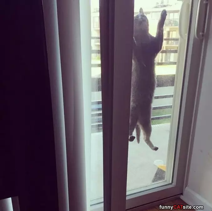 Just Climbinb Up Higher