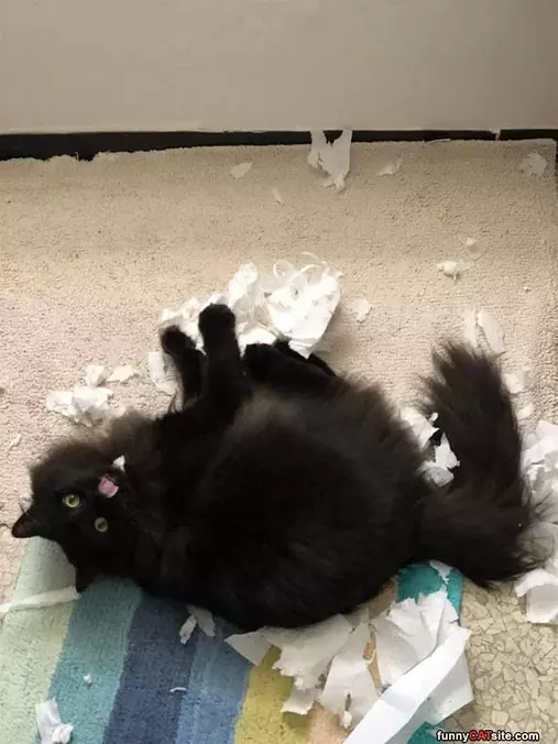 Rolling Around