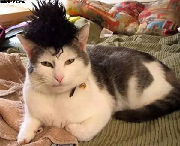 Great Fro