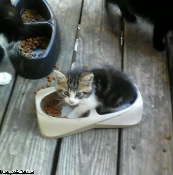 I Eats How I Want