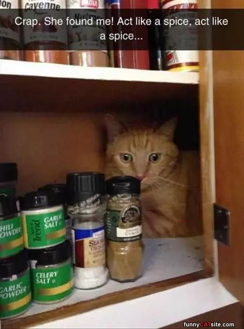 Act Like A Spice