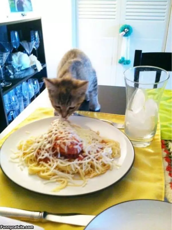 I Love Pasta