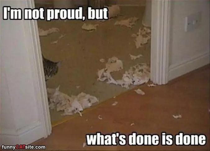 Whats Done Is Done