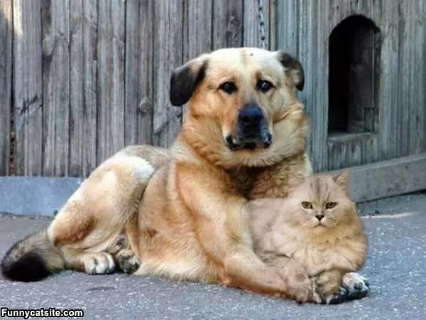 Good Friends