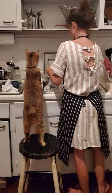A Helping Hand