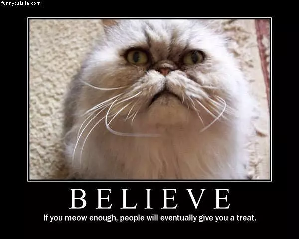 Beleive